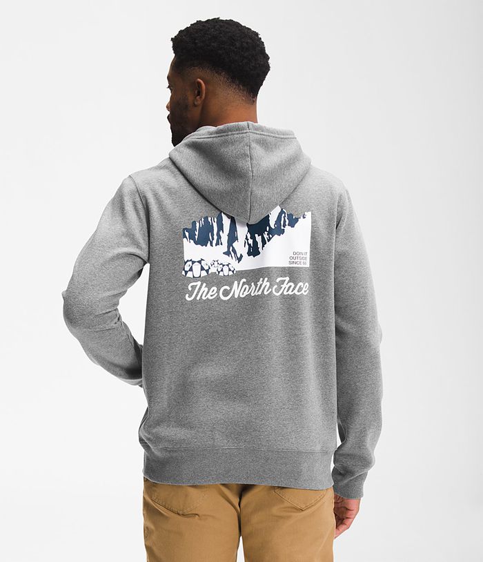 The North Face Mens Hoodie Mountain Scene Pullover 326BVSYMJ - Grey
